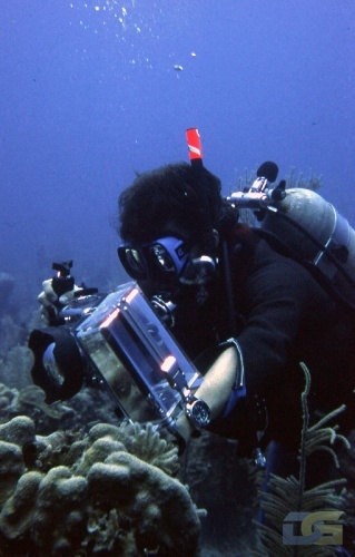 Вот так выглядит подводная съёмка в Сочи